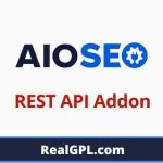 AIOSEO REST API Addon GPL v1.0.1