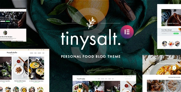 TinySalt Theme GPL v3.8.0 – Personal Food Blog WordPress Theme