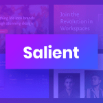 Salient Theme GPL Boss