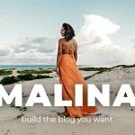 Malina Blog Theme GPL Boss