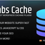 Borlabs Cache - WordPress Caching Plugin
