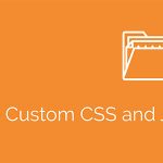 Simple Custom CSS and JS PRO GPL Boss