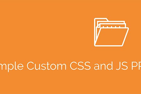 Simple Custom CSS and JS PRO GPL Boss