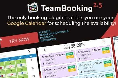 Team Booking - WordPress booking system GPL Boss