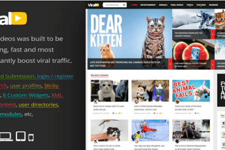 ViralVideo Theme GPL Boss