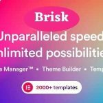 Brisk Theme GPL v3.1.0 - Multi-Purpose Elementor WordPress Websites
