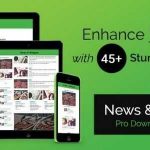 WP News and Scrolling Widgets v2.4.3 GPL
