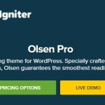 CSS Igniter Olsen Pro GPL v2.8.0 WordPress Blogging Theme