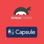 Ninja Forms Capsule CRM GPL v3.4.2 Extension