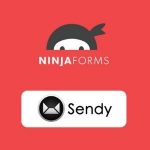 Ninja Forms Sendy v3.0 - GPL Extension