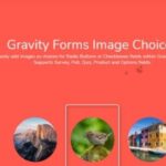 Gravity Forms Image Choices GPL v1.7.0