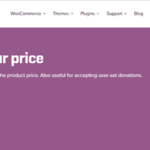 WooCommerce Name Your Price GPL v3.8.1 Extension