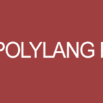 Polylang Pro GPL v3.8.7 Latest Version