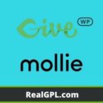 GiveWP Mollie Payment Gateway GPL v1.2.4
