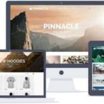 Kadence Pinnacle Premium Theme GPL v2.5.1