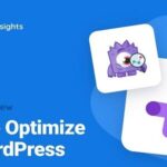 MonsterInsights Google Optimize Addon GPL v1.5.0