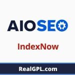 AIOSEO IndexNow Addon GPL v1.0.0