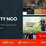 Ngo Theme GPL v1.1 - Charity Donation WordPress Theme