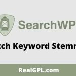 SearchWP Dutch Keyword Stemmer Addon GPL v1.2.4