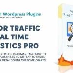 Visitor Traffic Real Time Statistics Pro GPL v8.6
