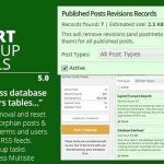 Smart Cleanup Tools Plugin for WordPress GPL v5.1