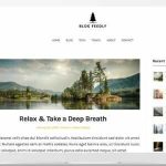 BlogFeedly Theme GPL v109.2 - Superb Themes