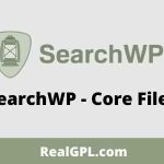 SearchWP GPL v4.2.2 – Core Files | WordPress search can’t find much
