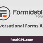 Formidable Forms Conversational Forms Addon GPL v1.0.01