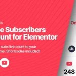 Struninn Youtube Subscribers Live Count GPL v1.0.0