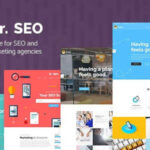 Mr. SEO Theme GPL v2.0 - Social Media Marketing Agency Theme