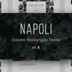 Napoli Theme Premium 2.1.17 GPL Latest Version