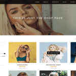 Shop Isle Pro Theme v2.2.56 GPL Latest Version